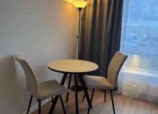 Сдача в аренду квартиры студии, 24 м2, Котельники, микрорайон Парковый, 14