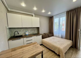 Сдаю квартиру студию, 28 м2, Удмуртия, Парковая улица, 5А