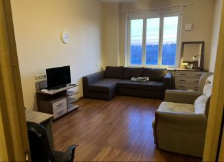 1-комнатная квартира в аренду, 40 м2, деревня Новое Девяткино, Озёрная улица, 8