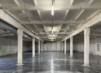 Производство на продажу, 1839 м2, Нижегородская область, территория Промзона Птицефабрики, 88