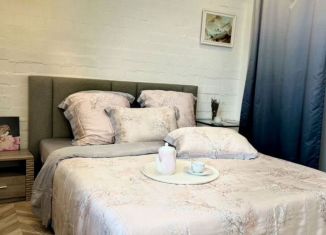 Сдача в аренду 2-комнатной квартиры, 52 м2, Пенза, улица Калинина, 1