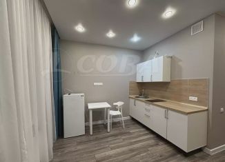 Продажа квартиры студии, 18.8 м2, деревня Дударева, улица Сергея Джанбровского, 3, ЖК Преображенский на Московском