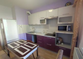 Продажа однокомнатной квартиры, 32 м2, Мурино, улица Шоссе в Лаврики, 59к2