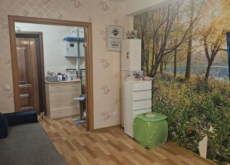 Продажа однокомнатной квартиры, 34.1 м2, Пермь, Вагонная улица, 25