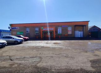 Помещение свободного назначения в аренду, 48.3 м2, Республика Башкортостан, Советская улица, 39