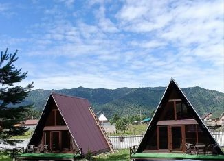 Сдаю коттедж, 57 м2, Республика Алтай