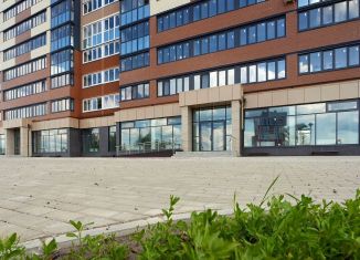 Сдам помещение свободного назначения, 150.93 м2, Брянск, улица имени О.С. Визнюка, 10, Советский район