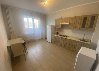 Сдаю в аренду квартиру студию, 30 м2, Тверь, улица Склизкова, 116к3, ЖК Лесная мелодия-2