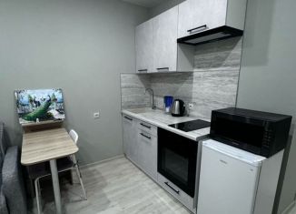 1-комнатная квартира на продажу, 21 м2, Мурино, ЖК Лампо, Графская улица, 6к4