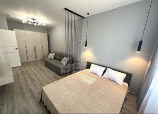 Сдаю 1-ком. квартиру, 38 м2, Мурино, Екатерининская улица, 32, ЖК Авиатор