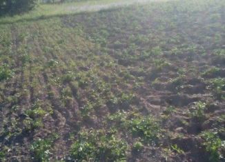 Продам земельный участок, 11 сот., деревня Шалангуш