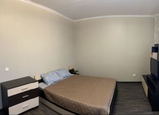 Однокомнатная квартира в аренду, 40 м2, Новосибирск, Овражная улица, 16