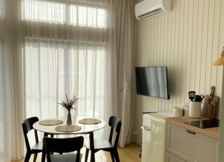 Однокомнатная квартира в аренду, 35 м2, посёлок городского типа Янтарный