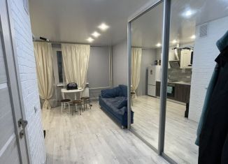 Сдам квартиру студию, 30 м2, Тюмень, улица Новосёлов, 107к2