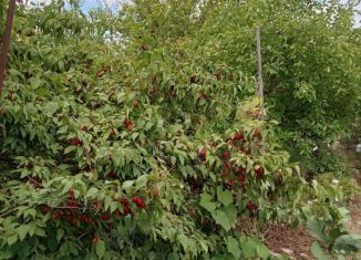 Земельный участок на продажу, 5 сот., посёлок городского типа Гвардейское, улица Гагарина