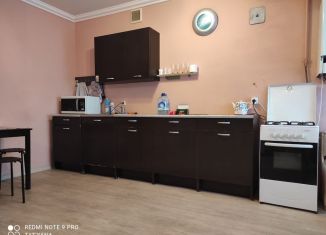 Сдается в аренду 3-комнатная квартира, 97 м2, Нижегородская область, улица Ванеева