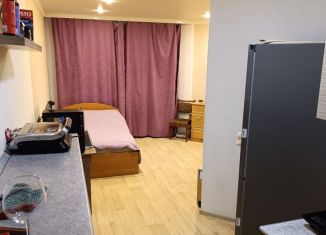 Продается квартира студия, 32.9 м2, Абакан, улица Комарова, 9Б, ЖК Комарово