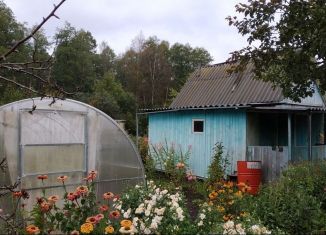 Продам дачу, 20 м2, СНТ Авиатор