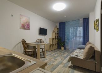 Сдаю в аренду однокомнатную квартиру, 35 м2, Свердловская область, улица Академика Ландау, 51
