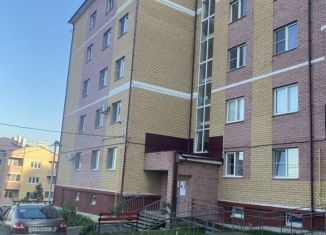 Продажа 1-комнатной квартиры, 39 м2, деревня Киселёвка, Никольская улица, 7