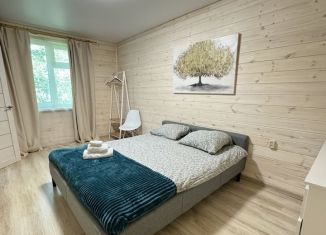 Сдам в аренду дом, 50 м2, Казань