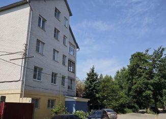 Продается двухкомнатная квартира, 59 м2, Воронежская область, улица Танкиста Серебрякова, 14