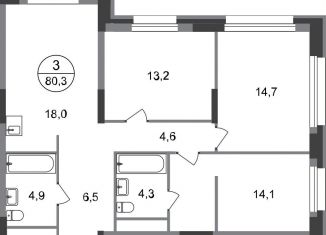 3-ком. квартира на продажу, 80.3 м2, Московский