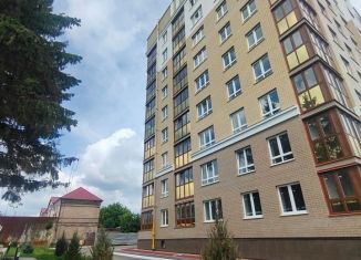 Продажа двухкомнатной квартиры, 68 м2, Брянск, Бежицкий район, улица Ульянова, 24