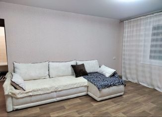 Аренда двухкомнатной квартиры, 70 м2, Красноярск, улица Елены Стасовой, 48Б, Октябрьский район