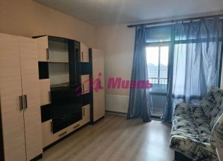 Продается квартира студия, 25 м2, Екатеринбург, улица Данилы Зверева, 5А