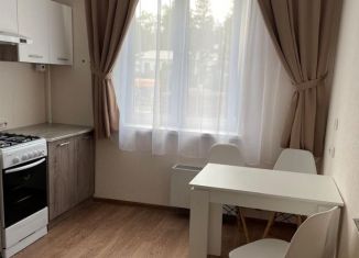 Аренда 1-комнатной квартиры, 40 м2, Кыштым, Дальняя улица, 7А