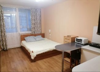 Сдается в аренду квартира студия, 20 м2, Красноярск, улица Карамзина, 18