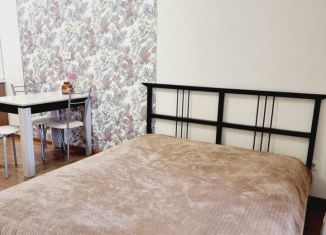 Аренда квартиры студии, 30 м2, Новосибирск, улица Кошурникова, 22