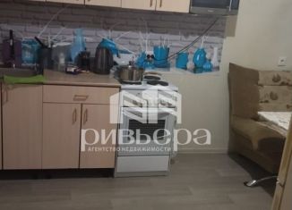 Сдается в аренду 3-комнатная квартира, 70 м2, Новосибирск, Большевистская улица, 112, метро Октябрьская