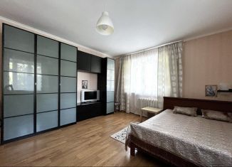 Аренда 1-ком. квартиры, 48 м2, Татарстан, улица Маршала Чуйкова, 59В