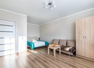 Аренда 1-комнатной квартиры, 45 м2, Татарстан, улица Сибгата Хакима, 52