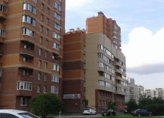 Квартира в аренду студия, 25 м2, Санкт-Петербург, Бухарестская улица, 118, муниципальный округ № 75