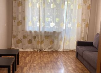 Аренда 3-комнатной квартиры, 60 м2, Томск, улица Степана Разина, 35, Советский район