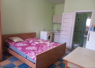 Сдача в аренду квартиры студии, 24 м2, Ставропольский край, улица Серова, 2