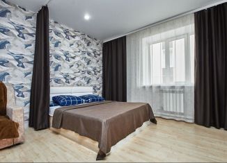 Сдается в аренду квартира студия, 33 м2, Томск, Карский переулок, 6