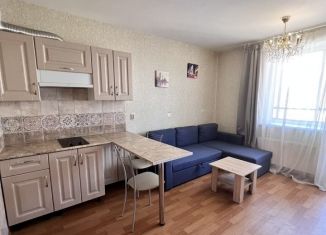 Квартира на продажу студия, 25 м2, посёлок Парголово, улица Николая Рубцова, 5