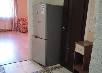 Продаю квартиру студию, 26.7 м2, деревня Пирогово, улица Ильинского, 7