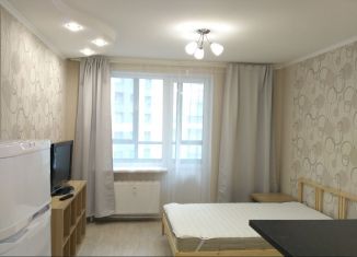 Сдам квартиру студию, 28 м2, Мурино, проспект Авиаторов Балтики, 9к2