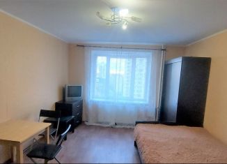 Квартира в аренду студия, 24 м2, Санкт-Петербург, Комендантская площадь, 8, муниципальный округ Озеро Долгое