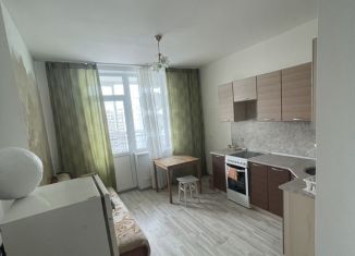 1-комнатная квартира в аренду, 42 м2, Екатеринбург, улица Чкалова, 231, улица Чкалова