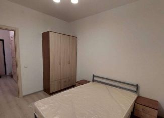 Сдается 1-ком. квартира, 35 м2, Санкт-Петербург, Торфяная дорога, 17к1