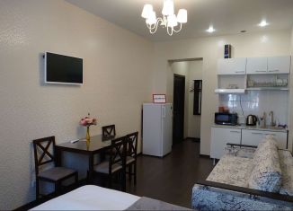 Сдам квартиру студию, 22 м2, Санкт-Петербург, улица Маринеско, 7А