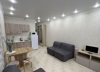 Сдается в аренду квартира студия, 30 м2, Сочи, Старонасыпная улица, 1, микрорайон Черемушки