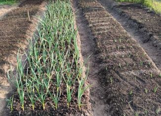 Участок на продажу, 4.5 сот., Гаврилов Посад