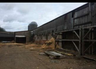 Производство в аренду, 1000 м2, деревня Яльгелево